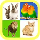 Free play online Real animal sound for kids APK