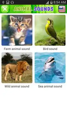 Play Real animal sound for kids