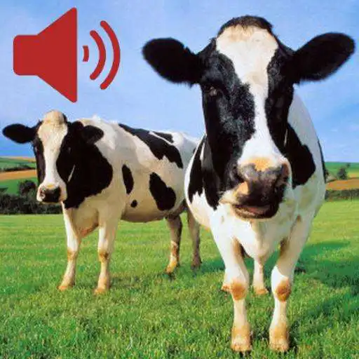 Play Real Animal Sounds APK