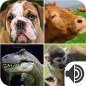 Free play online Real Animal Sounds of Wild Zoo APK