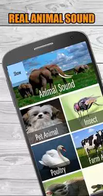 Play Real Animal Sounds of Wild Zoo