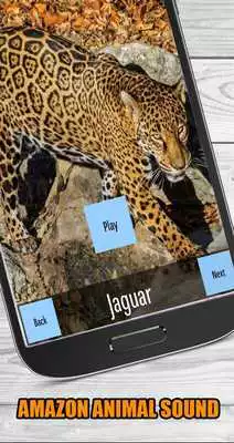 Play Real Animal Sounds of Wild Zoo