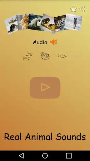Play Real Animal Sounds  and enjoy Real Animal Sounds with UptoPlay