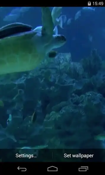 Play Real Aquarium Video Wallpaper  and enjoy Real Aquarium Video Wallpaper with UptoPlay