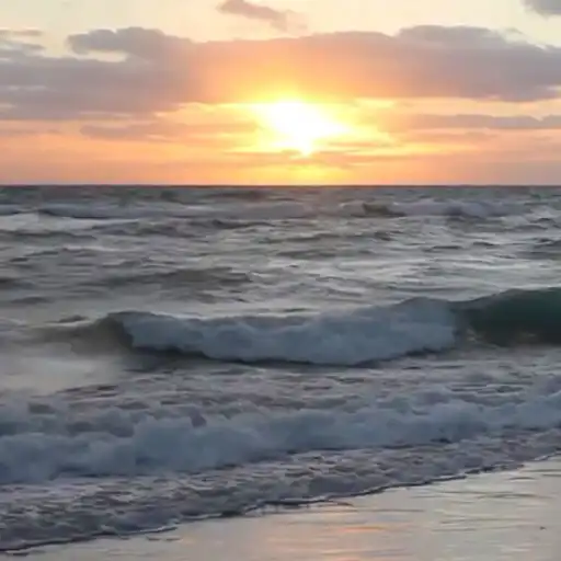 Play Real Beach Live Wallpaper Pro APK Play Real Beach Live Wallpaper Pro APK