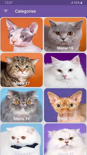 Play Real Cat Sounds Play Real Cat Sounds