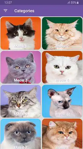 Play Real Cat Sounds Play Real Cat Sounds
