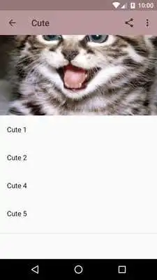 Play Real Cat Sounds Play Real Cat Sounds