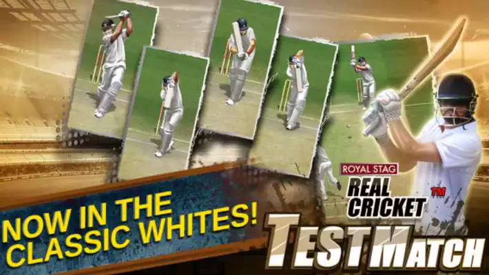 Play Real Cricket™ Test Match