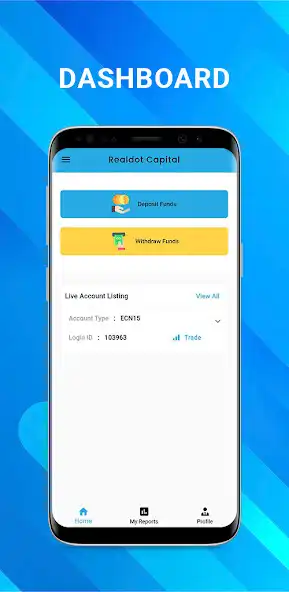 Play RealDot Capital as an online game RealDot Capital with UptoPlay
