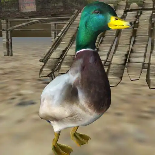 Play Real Duck Simulator APK