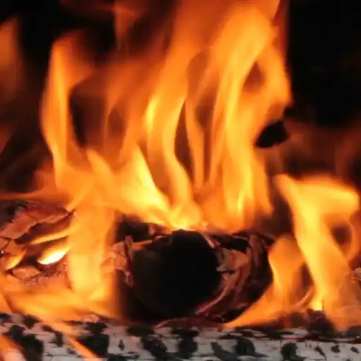 Play Real Fire Live Wallpaper Pro APK Play Real Fire Live Wallpaper Pro APK