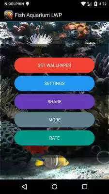 Play Real followers Twitter
