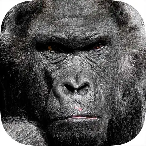 Play Real Gorilla vs Zombies - City APK