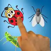 Free play online Real Insect Smasher APK Free play online Real Insect Smasher APK