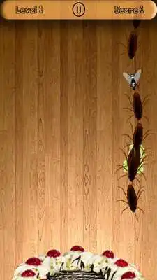 Play Real Insect Smasher