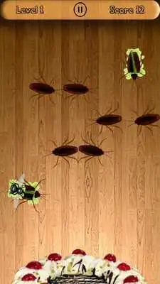 Play Real Insect Smasher