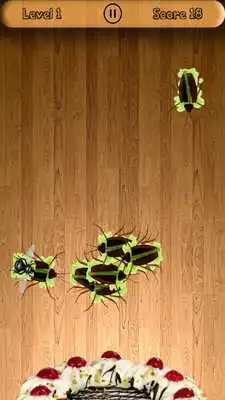 Play Real Insect Smasher