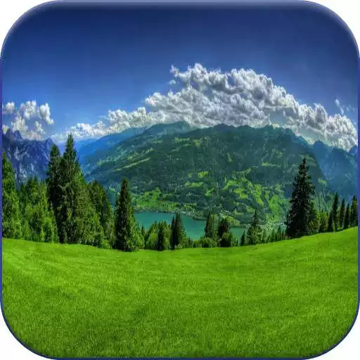 Free play online Realistic Video Wallpapers APK