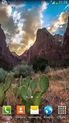 Play Realistic Video Wallpapers