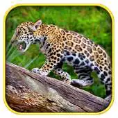 Free play online Real Jaguar Cub Simulator APK