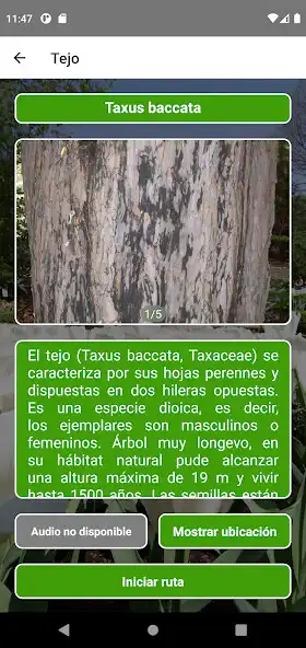 Play Real Jardín Botánico App as an online game online Real Jardín Botánico App with UptoPlay Play Real Jardín Botánico App as an online game Real Jardín Botánico App with UptoPlay