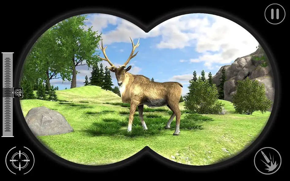 Play Real Jungle Animals Hunting  and enjoy Real Jungle Animals Hunting with UptoPlay