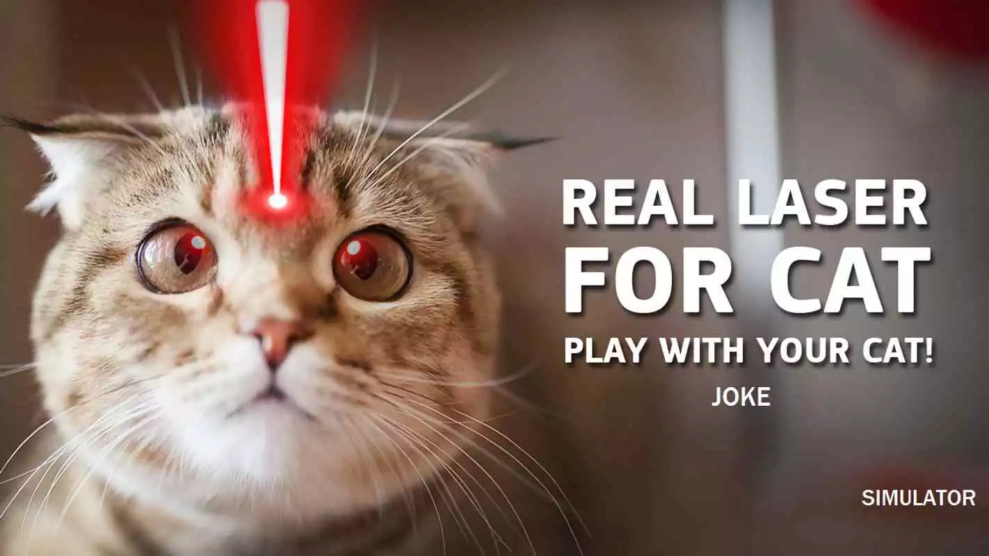 Play Real laser for cat