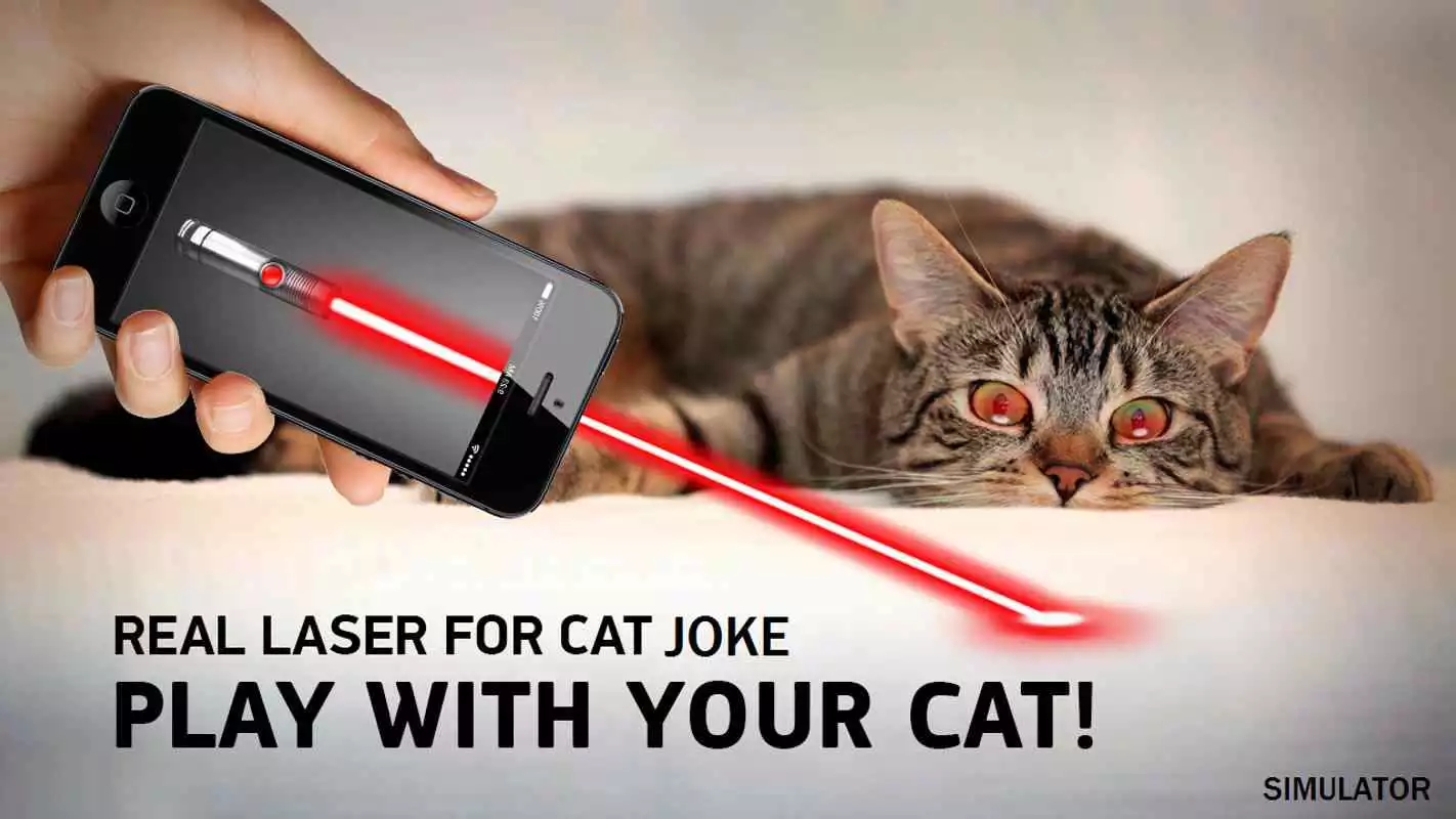 Play Real laser for cat