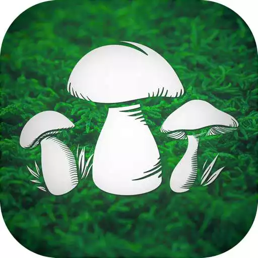 Play Real Mushroom Hunting Simulator 3D APK Play Real Mushroom Hunting Simulator 3D APK