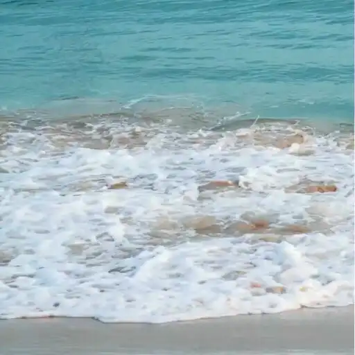 Play Real Ocean Live Wallpaper Pro APK Play Real Ocean Live Wallpaper Pro APK