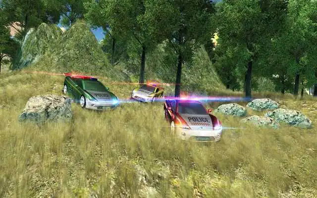 Play Real Police Criminal Chase Car