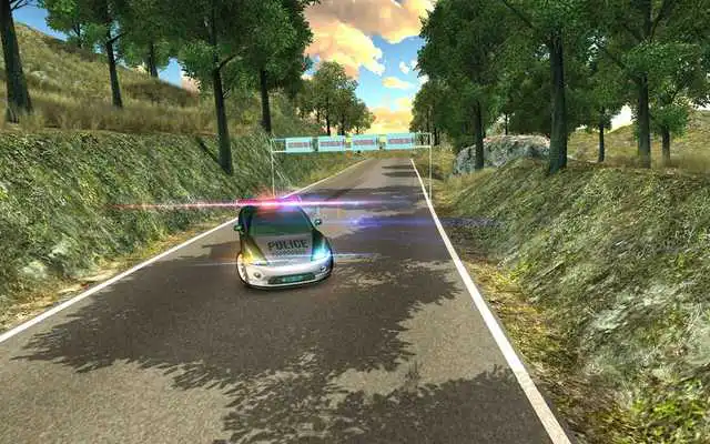 Play Real Police Criminal Chase Car