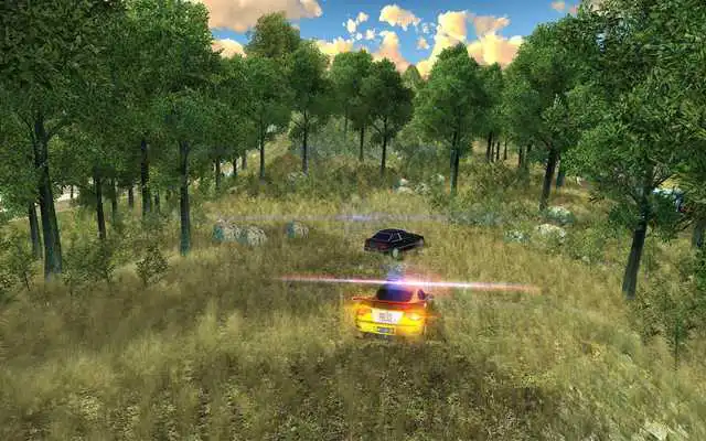 Play Real Police Criminal Chase Car