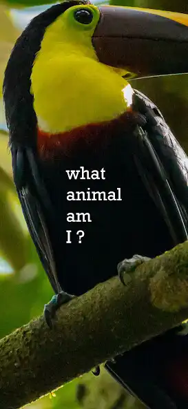 Play Real Quiz Animal as an online game online Real Quiz Animal with UptoPlay Play Real Quiz Animal as an online game Real Quiz Animal with UptoPlay