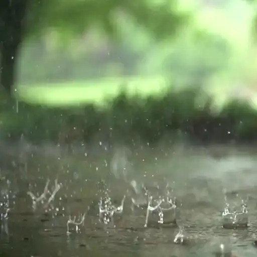 Play Real Rain Live Wallpaper Pro APK