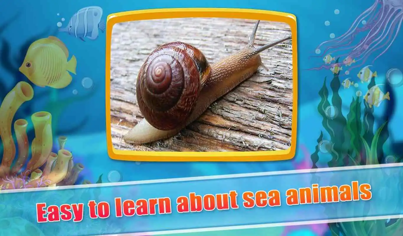 Play Real Sea Animal Sounds