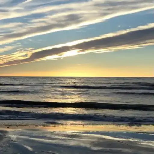 Play Real Sea Live Wallpaper Pro APK