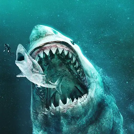 Play Real Sharks : Shark Games APK