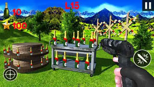 Play Real Shooting Expert