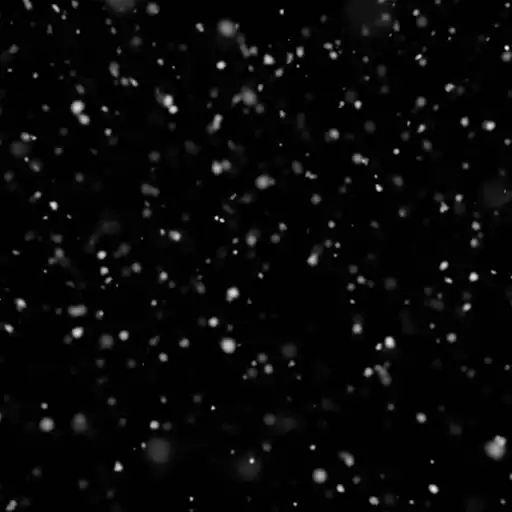 Free play online Real Snow Live Wallpaper APK