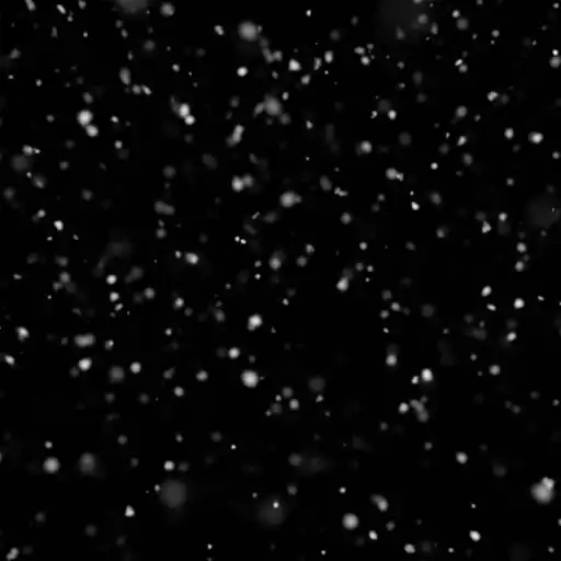 Play Real Snow Live Wallpaper Pro APK Play Real Snow Live Wallpaper Pro APK
