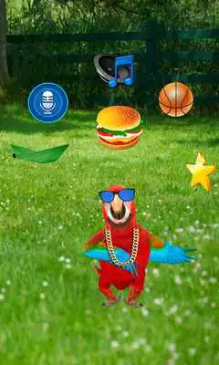 Play Real Talking Parrot