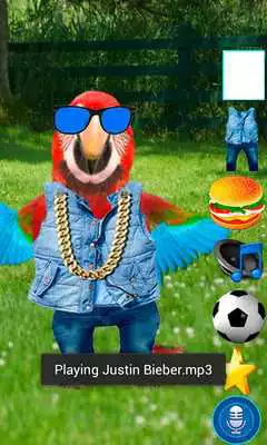 Play Real Talking Parrot