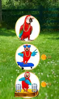 Play Real Talking Parrot