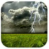 Free play online Real weather wallpaper APK Free play online Real weather wallpaper APK