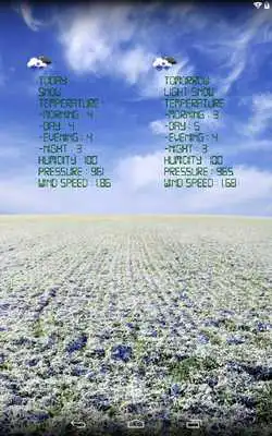 Play Real weather wallpaper