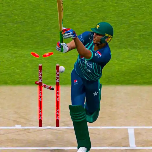 Play Real World Cricket Games APK Play Real World Cricket Games APK