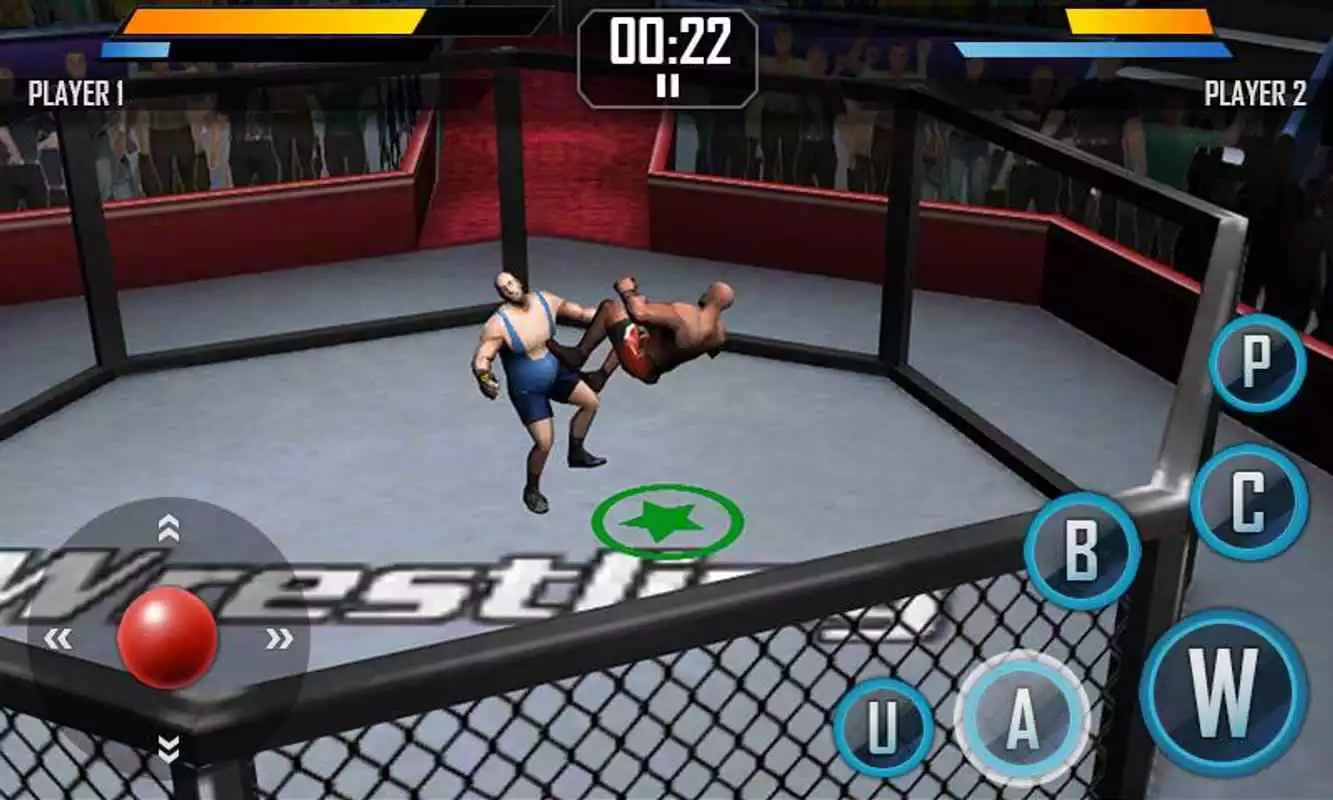 Play Real Wrestling