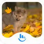 Free play online Recall The Autumn APK Free play online Recall The Autumn APK